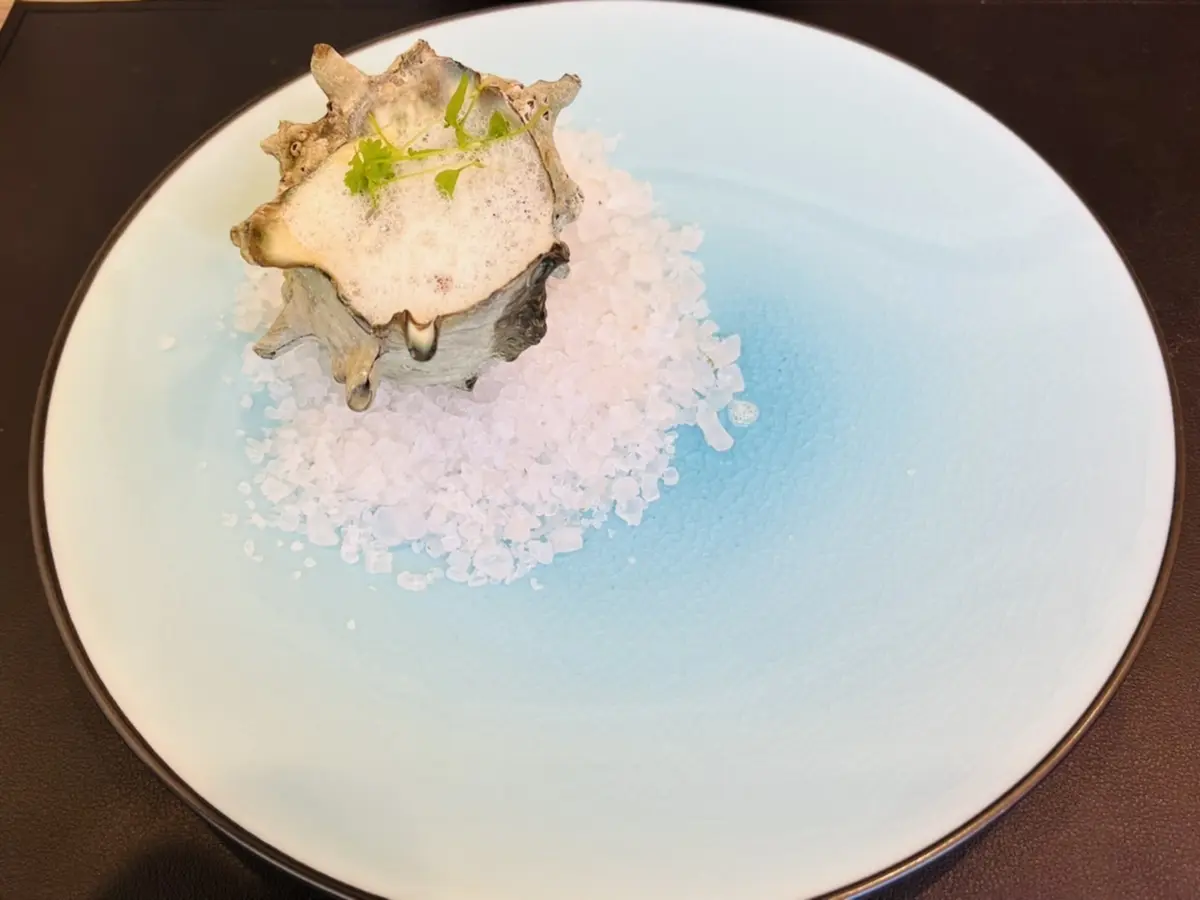 栄螺（サザエ）