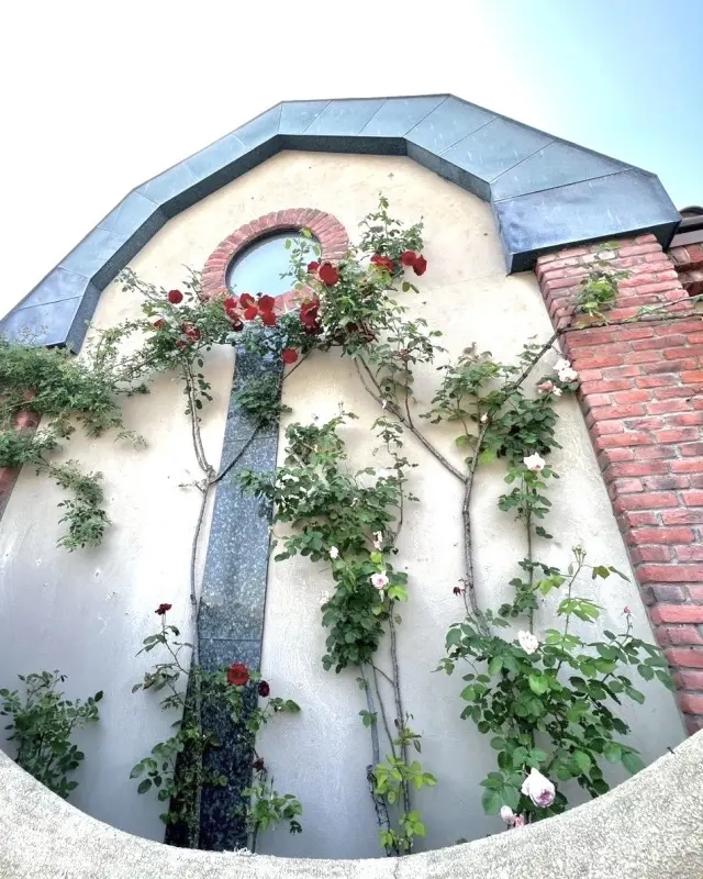 薔薇に包まれた館（岐阜市）の画像_7