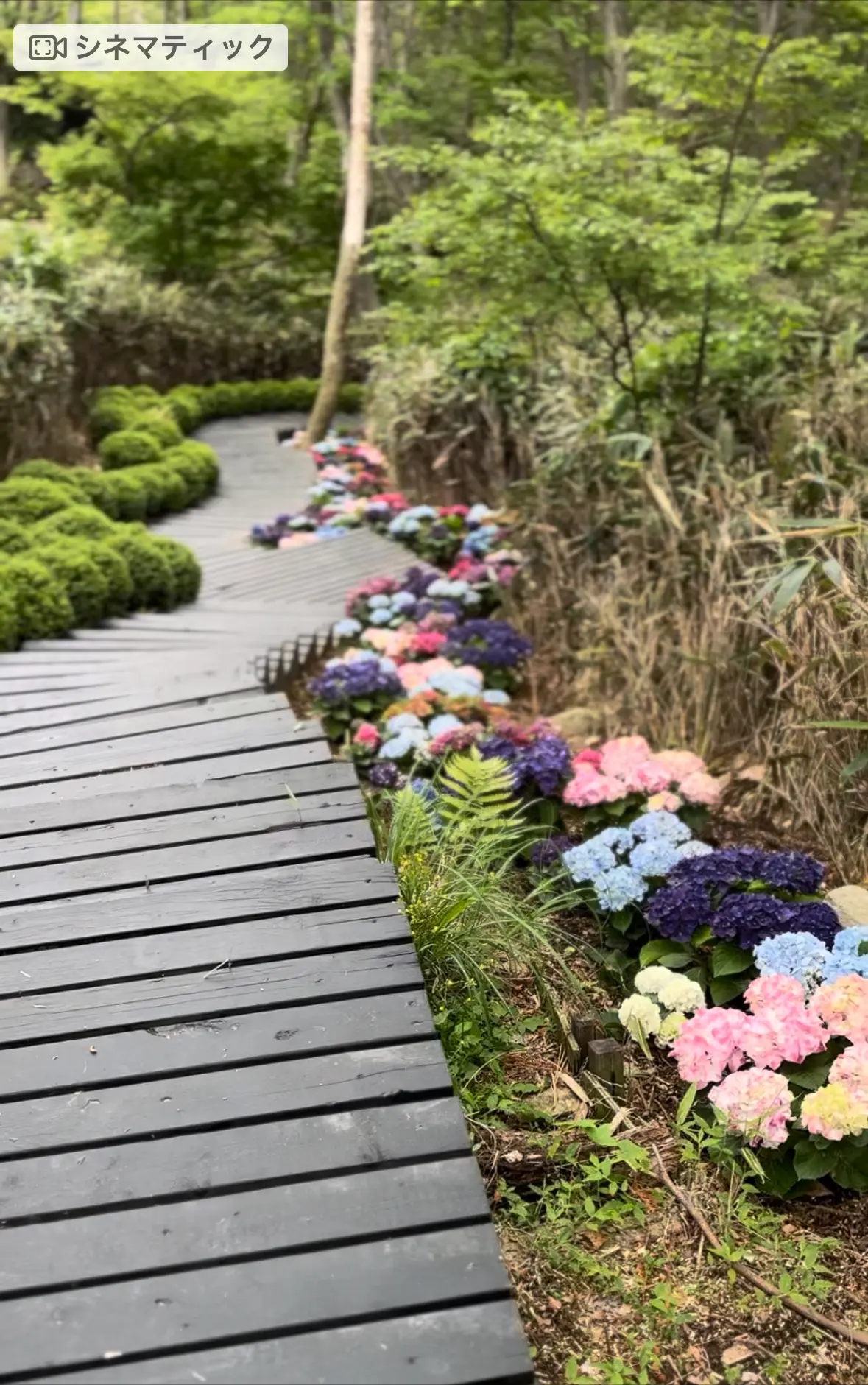 箱根⭐︎心を満たす大人女子4人旅の画像_4