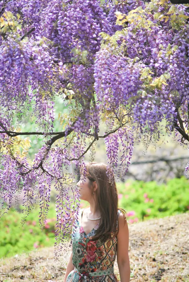 お花🌹好きな方にお薦め【神奈川フラワーMの画像_5