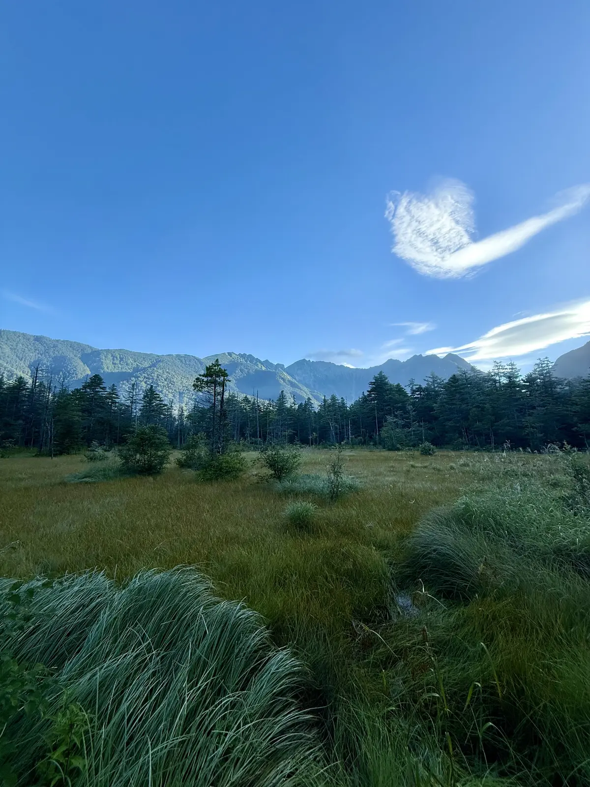 長野　上高地　大正池　河童橋　湿地帯　明神池　イワナ料理　トレッキング　登山　穂高連峰　UGGハイキング　トレッキング　