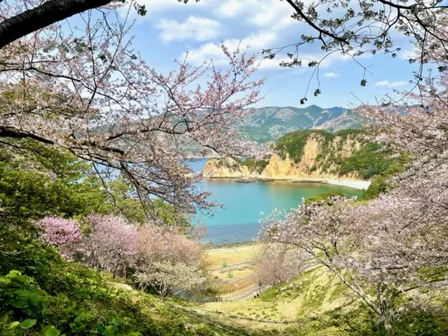 私の好きな春の西伊豆♡の画像_1