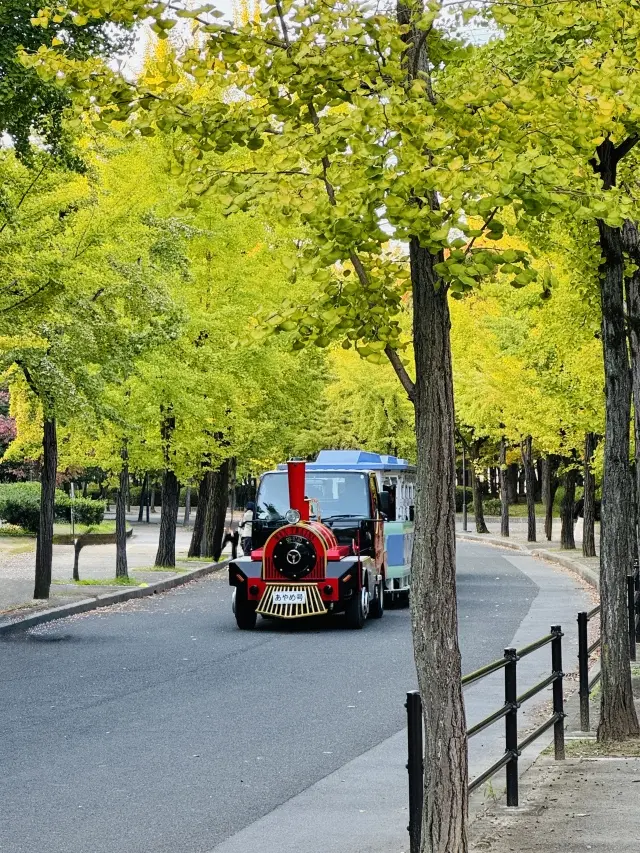 11月は観劇ラッシュ♬そんな時のコーデはの画像_5