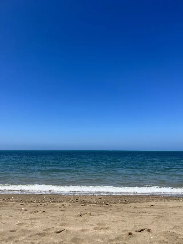 海をもとめての画像_1