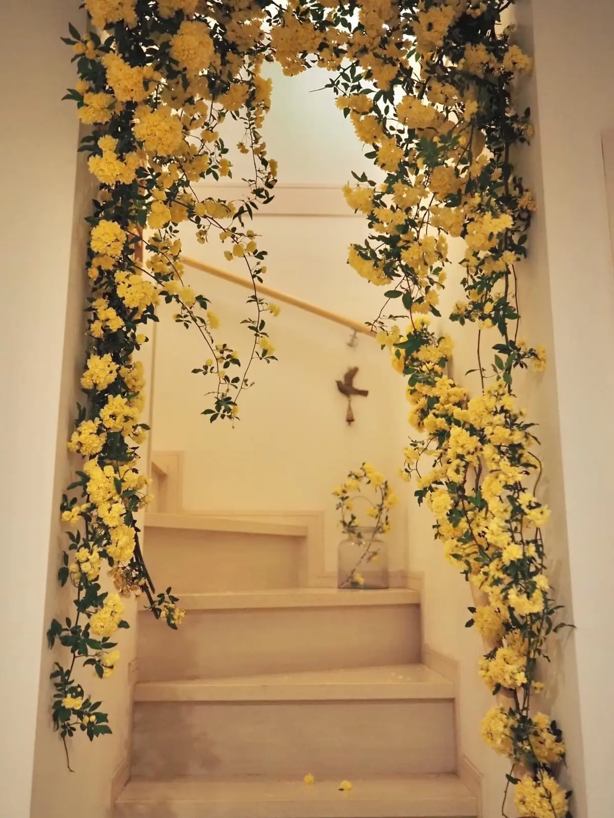 鎌倉便り。咲きました！木香薔薇で彩るインの画像_9