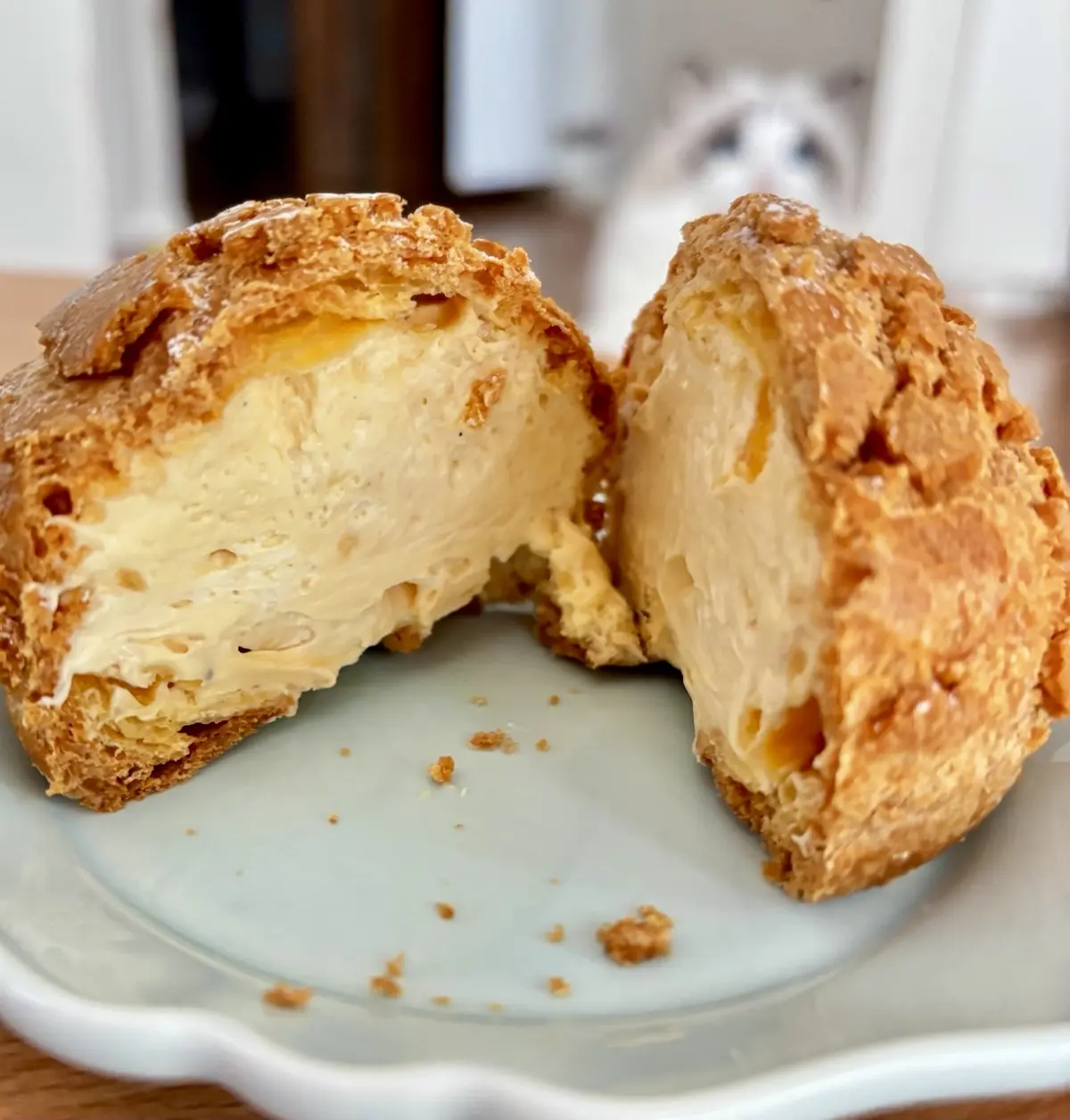 シュークリームの断面とうっすらと猫