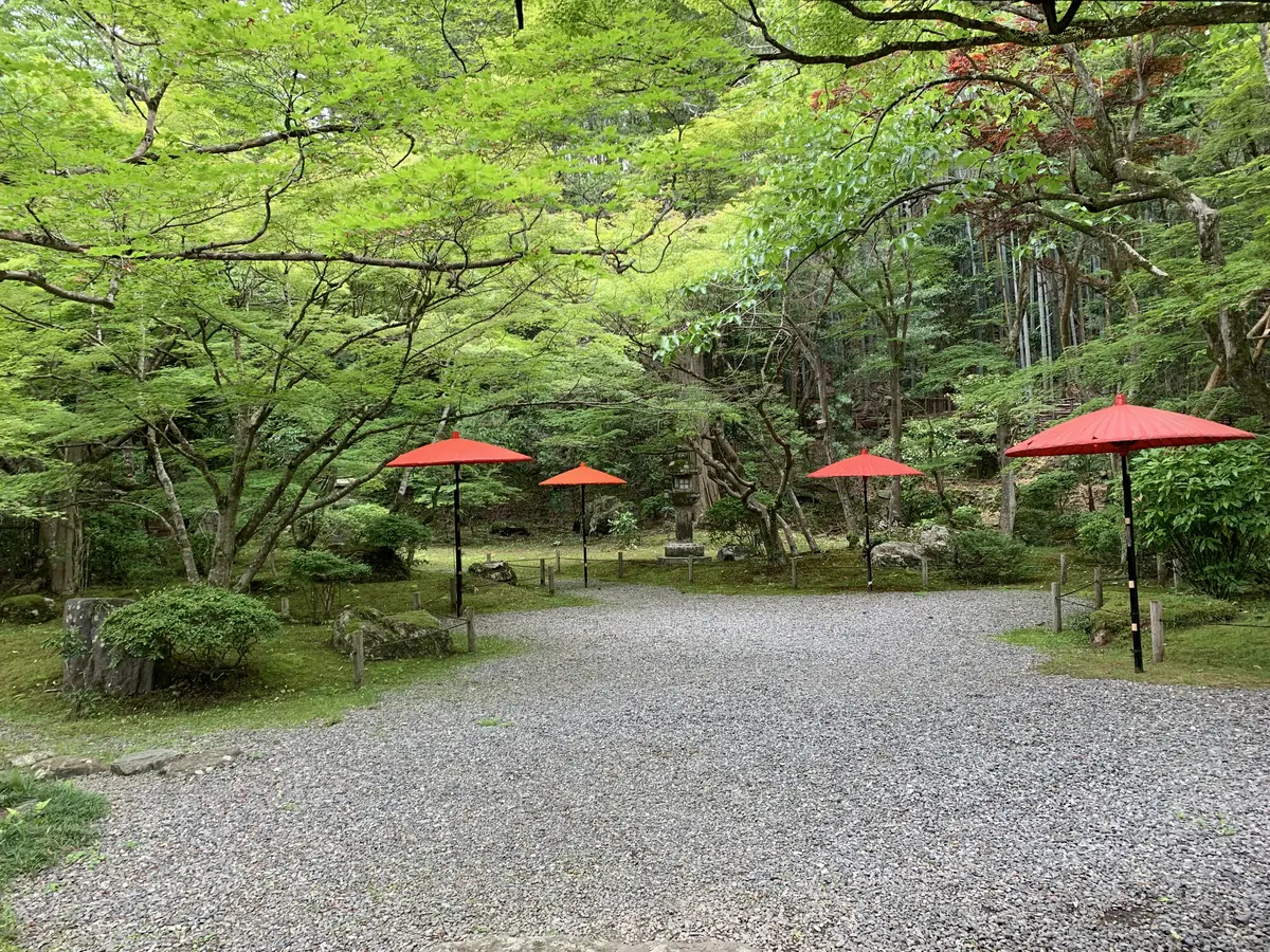 新緑が美しい石山寺の境内