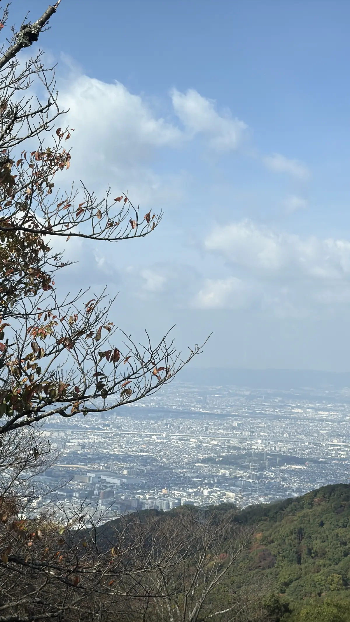 秋を感じる生駒山で山登りの画像_5