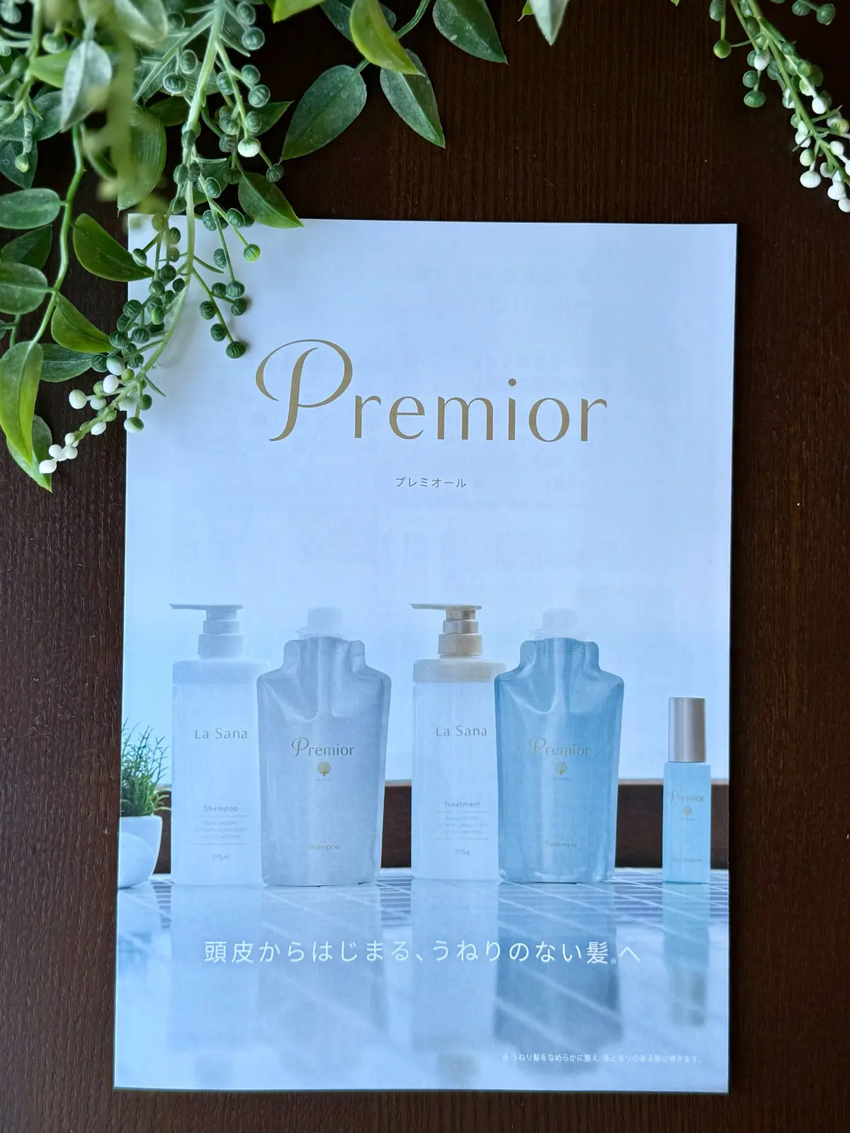 ソワレ・ドゥ・エクラ 　ザ・ストリングス表参道　お土産　ラサーナ　プレミオール　うねりケア　ヘアケア　頭皮菌ケア　頭皮ケア