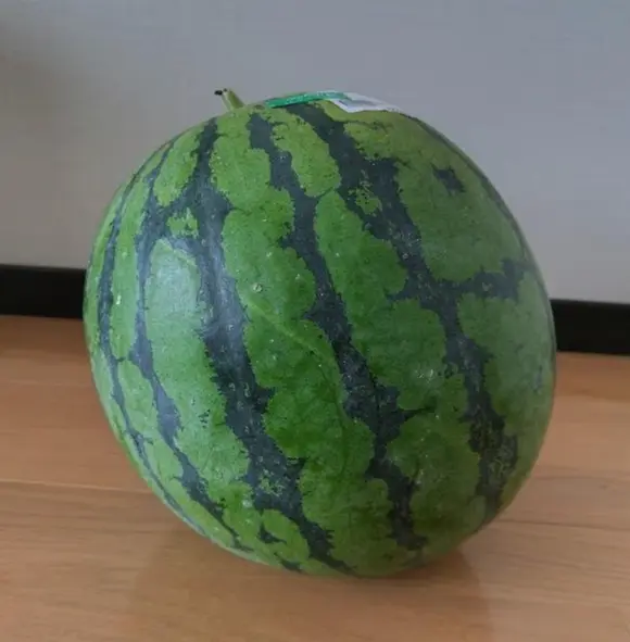 兵庫県産　スイカ