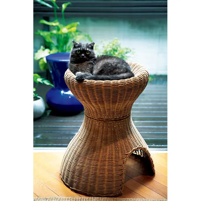 猫のセルもお気に入りのスツール