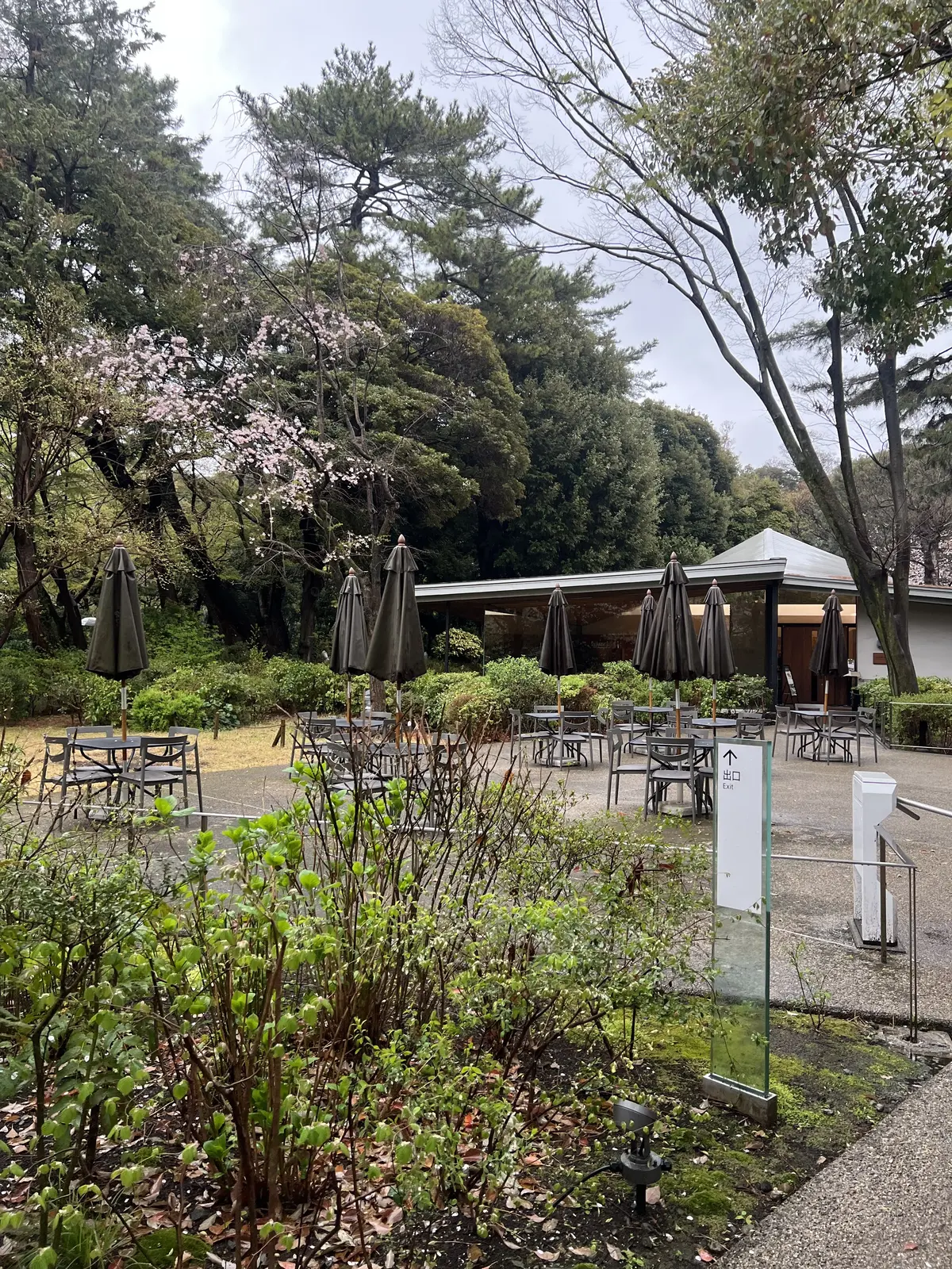 今回は入れなかったレストラン