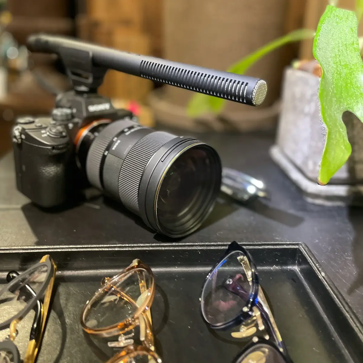 眼鏡でお出かけ、 はじめました。の画像_2