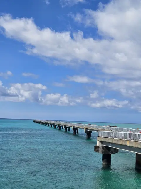 碧い海と静けさに魅せられて──伊良部島のの画像_3