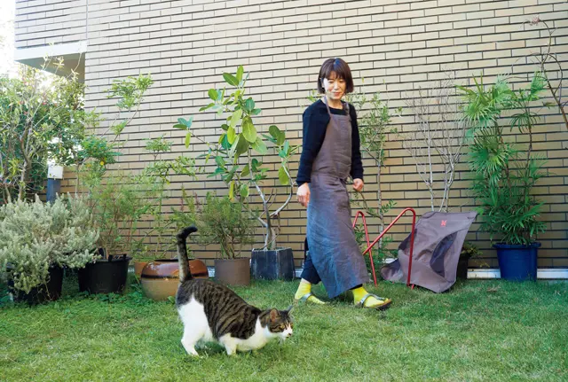 ハットリくんはお庭に出るのも大好きでワタナベさんとプチ散歩。一度は脱走事件もあったが、無事に隣人に保護されていた