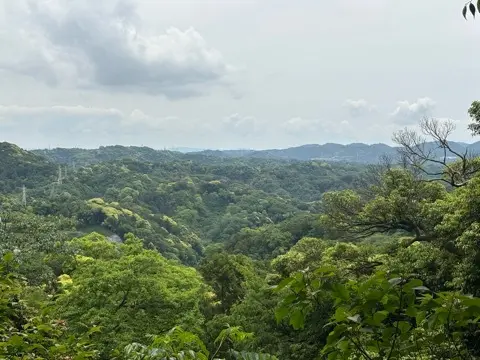 新緑眩しい鎌倉ハイキングに出掛けませんかの画像_11