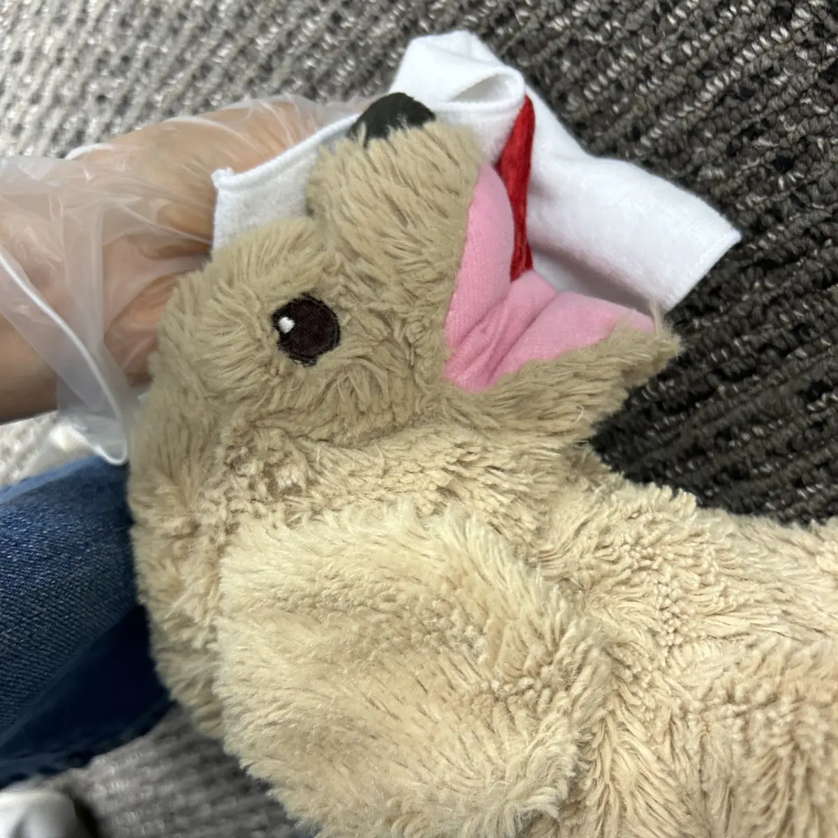 実技のために舌を縫い付けたぬいぐるみ