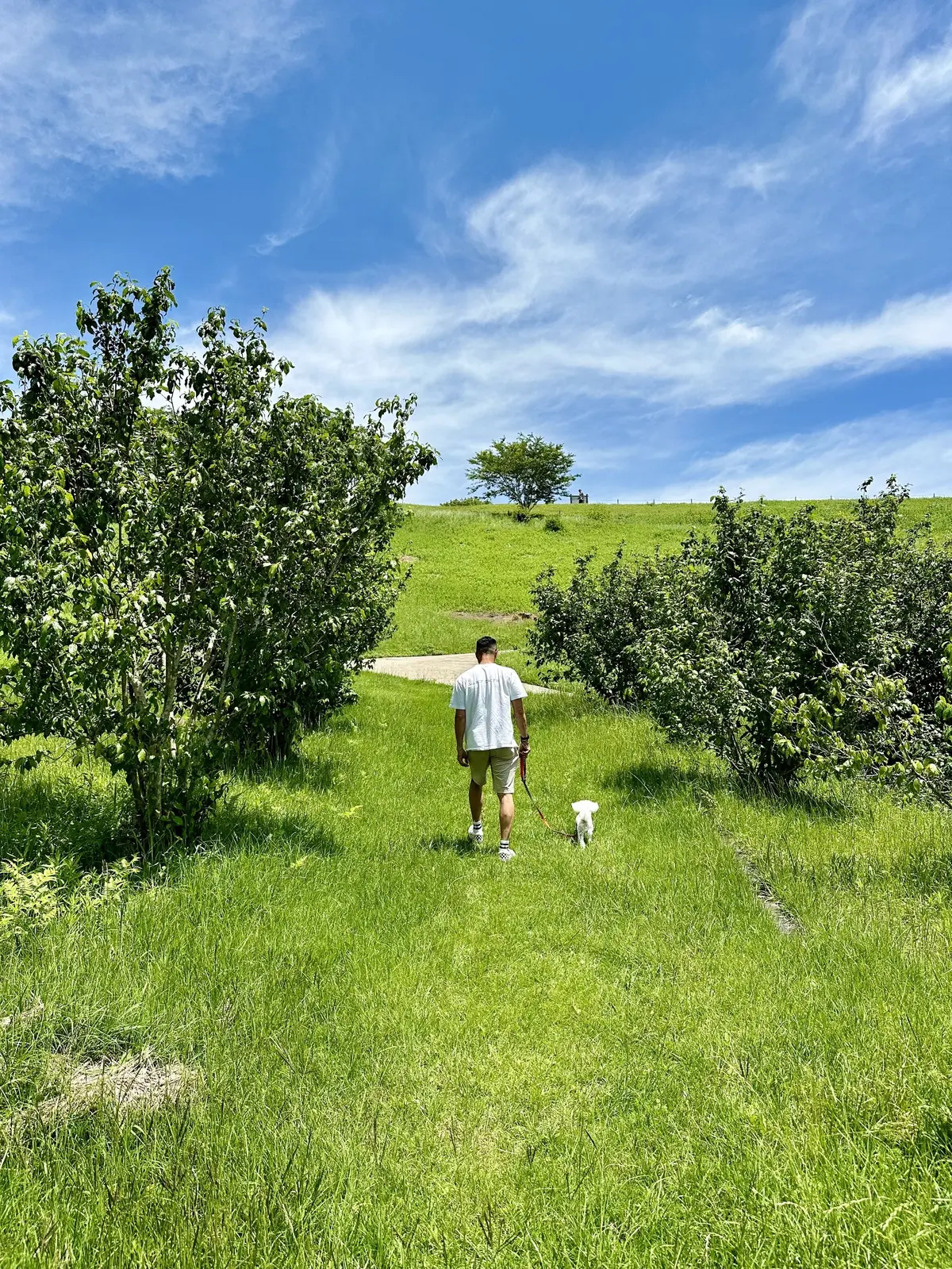 GUデニムで初夏の景色を楽しむお散歩へ♪の画像_17