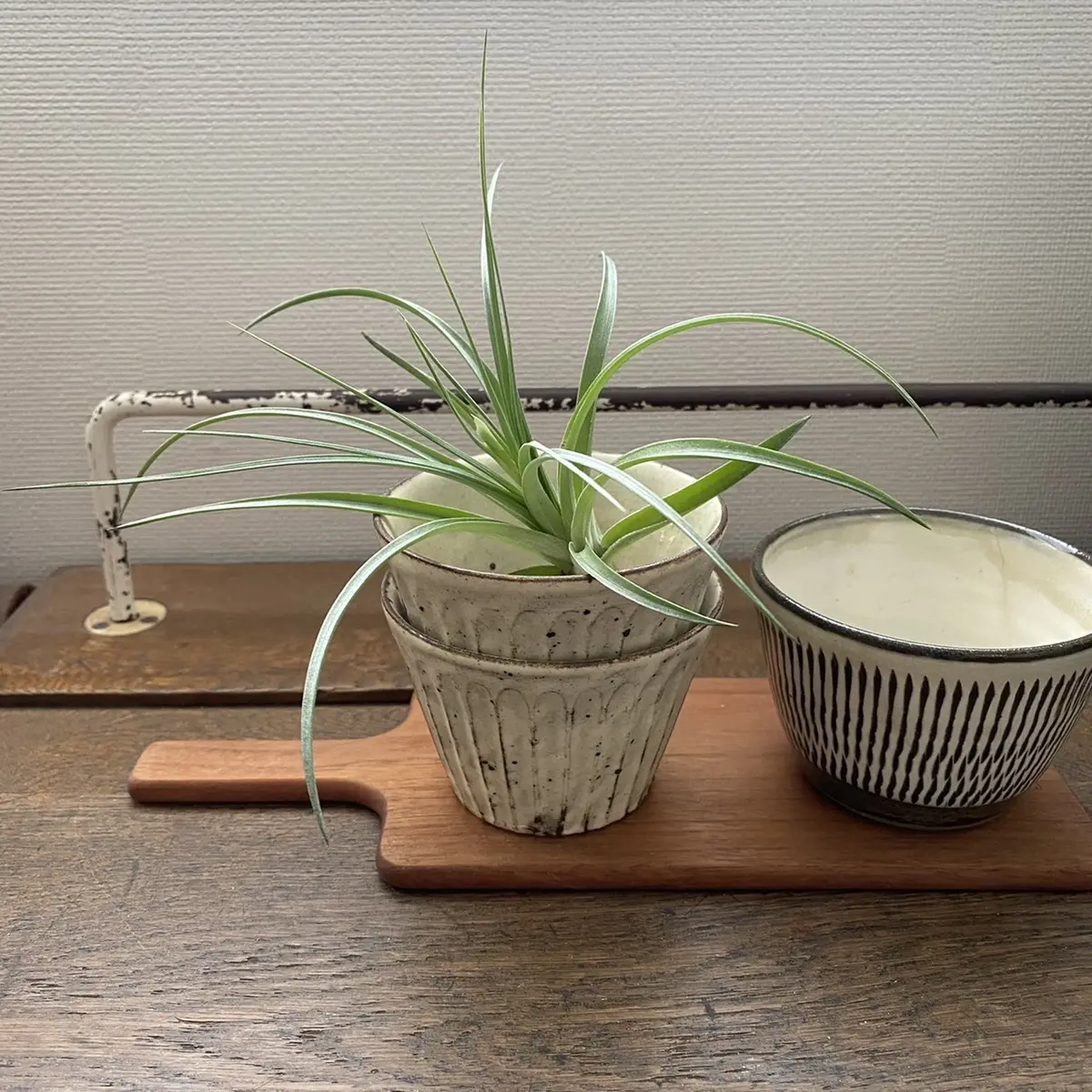 ときめく器は日常使いに！の画像_3