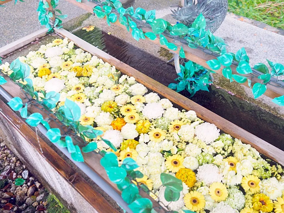 BRUNO PREMI 一目惚れローファの画像_7