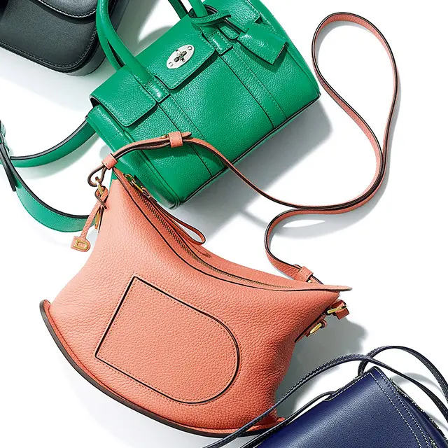 バッグ（20×29×9）￥372,900／デルヴォー・ジャパン（デルヴォー）