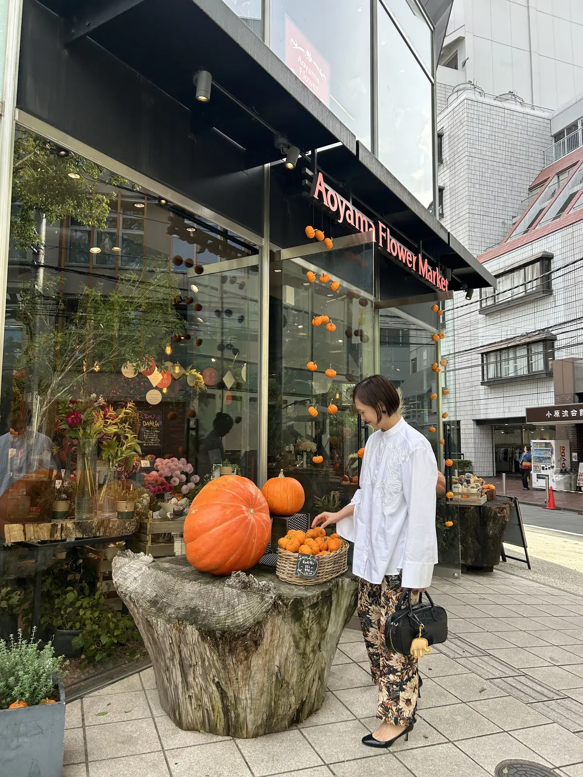 AOYAMAFLOWERMARKET ハロウィン飾り　ELFRANKパンツ　ELFRANKゴブラン織パンツ