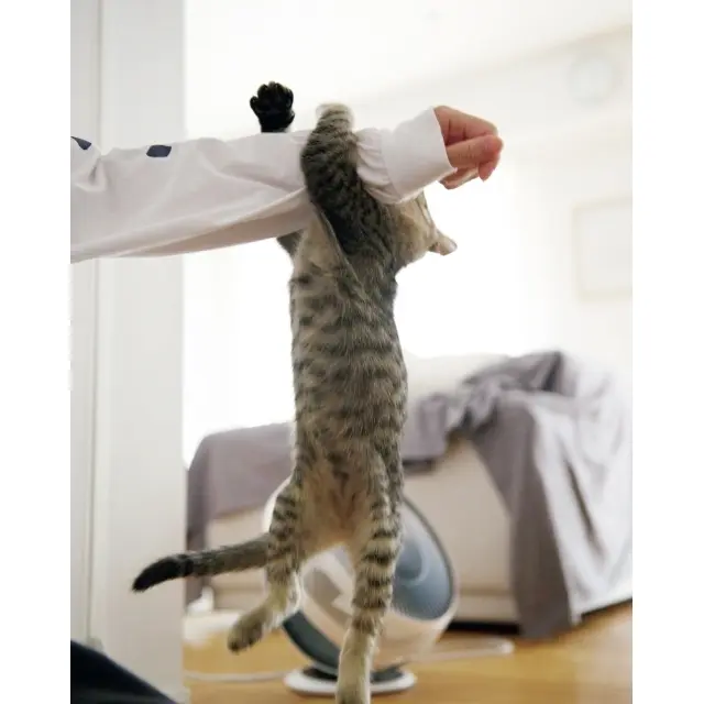 日に日に跳躍力もアップ中