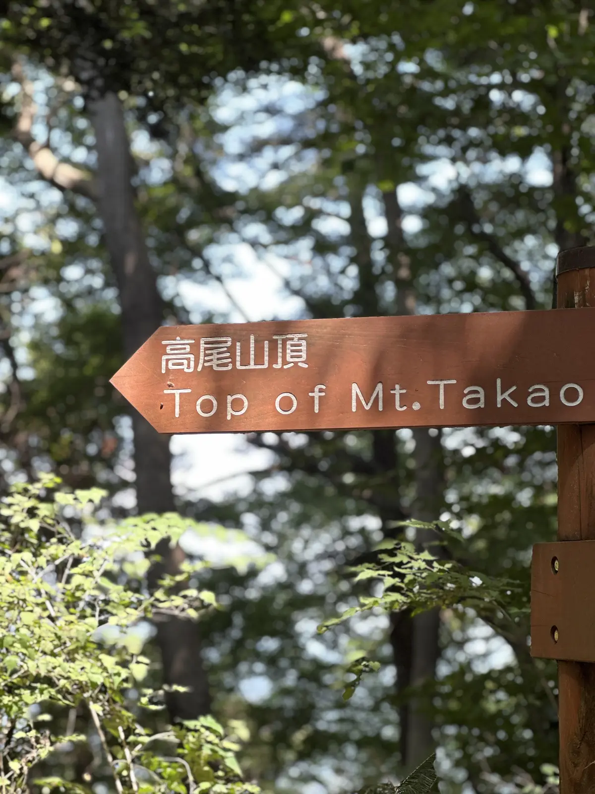 親子三代で行くはとバスツアーと真夏の高尾の画像_21