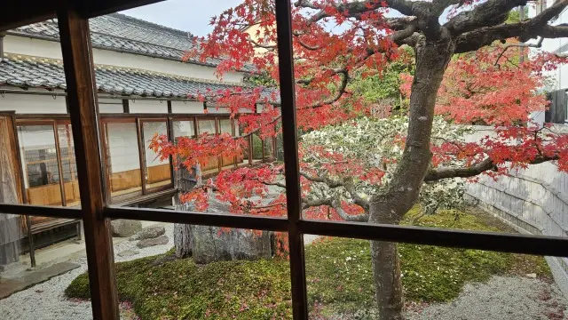 ゆったりした時間が流れる歴史とグルメの街の画像_4