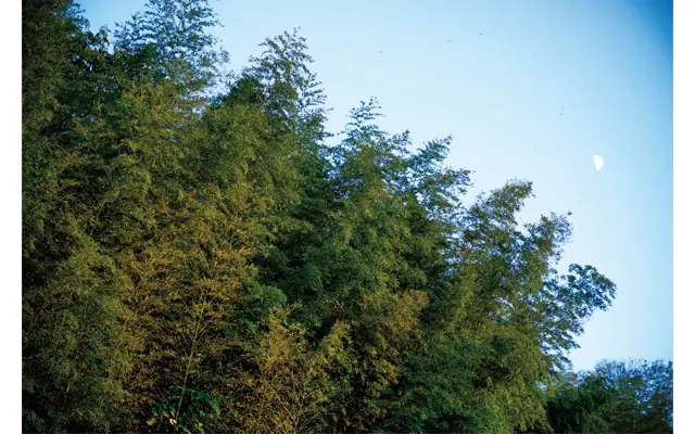 【50代の金沢旅】アラフィーの感性を豊かの画像_41