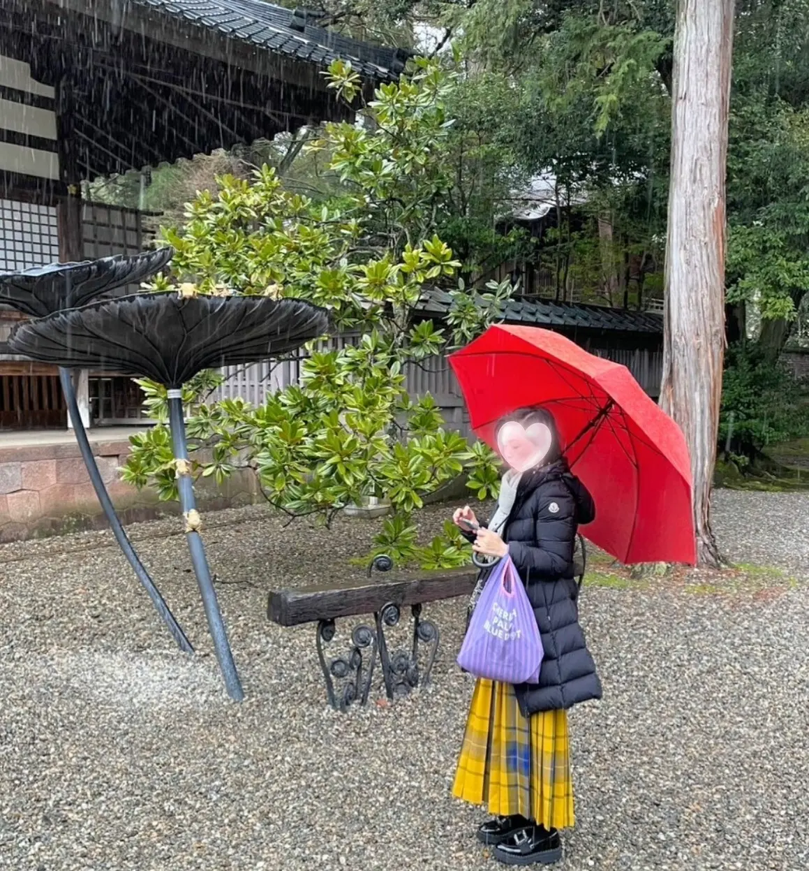 尾山神社　金のカエル