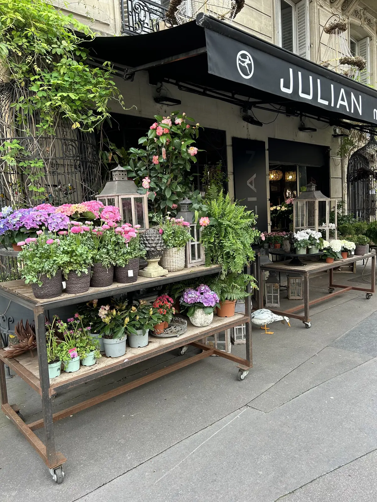 パリのお花屋さん　Julian Fleuriste   レッスン