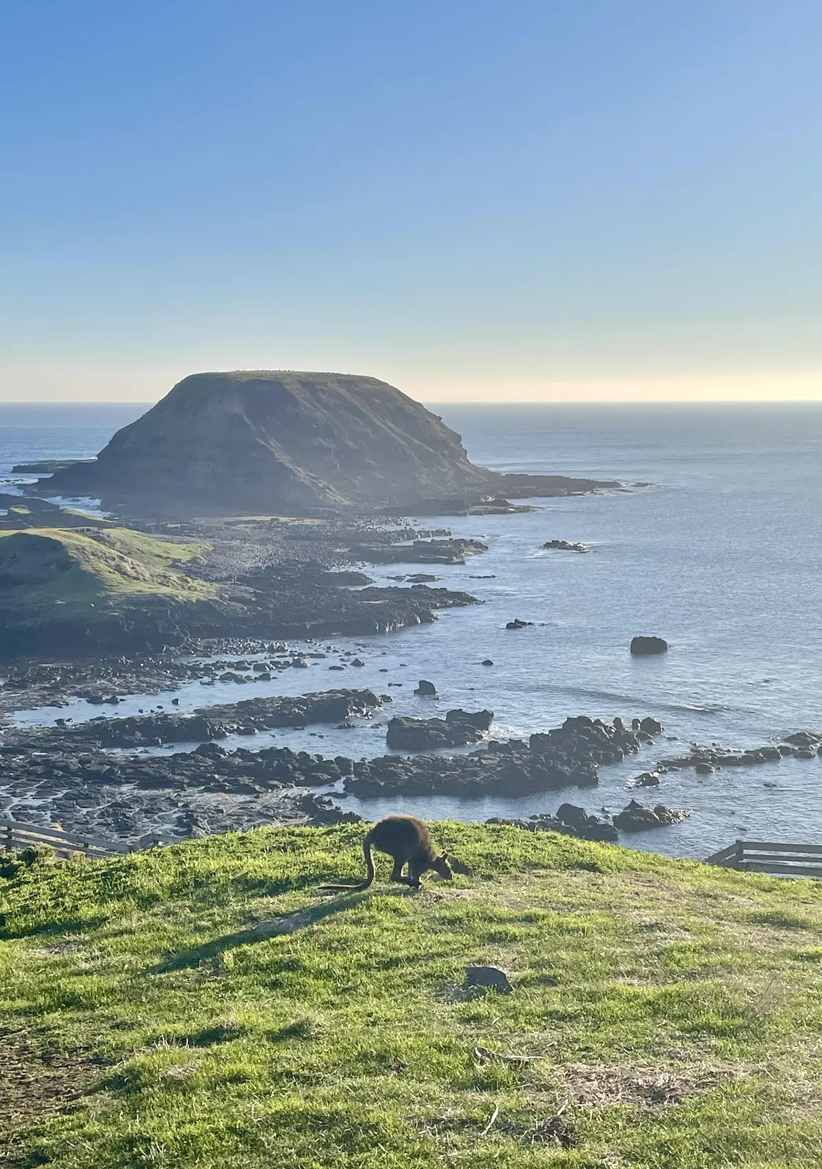 メルボルンで過ごす大人の旅 -vol.1の画像_5