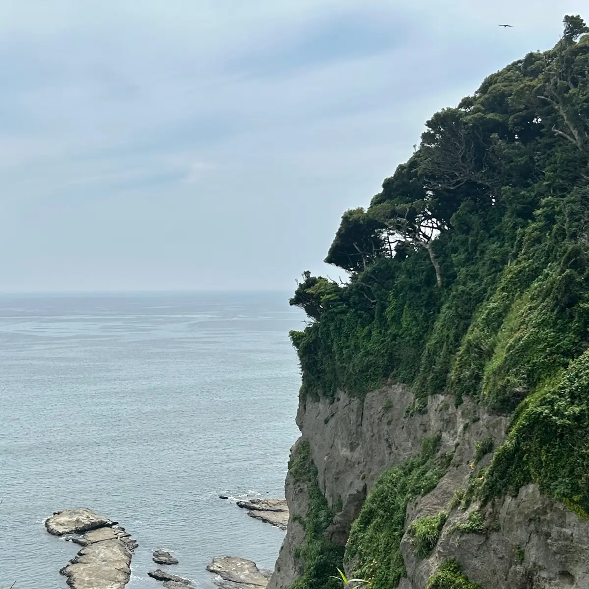 断崖と眼下の海