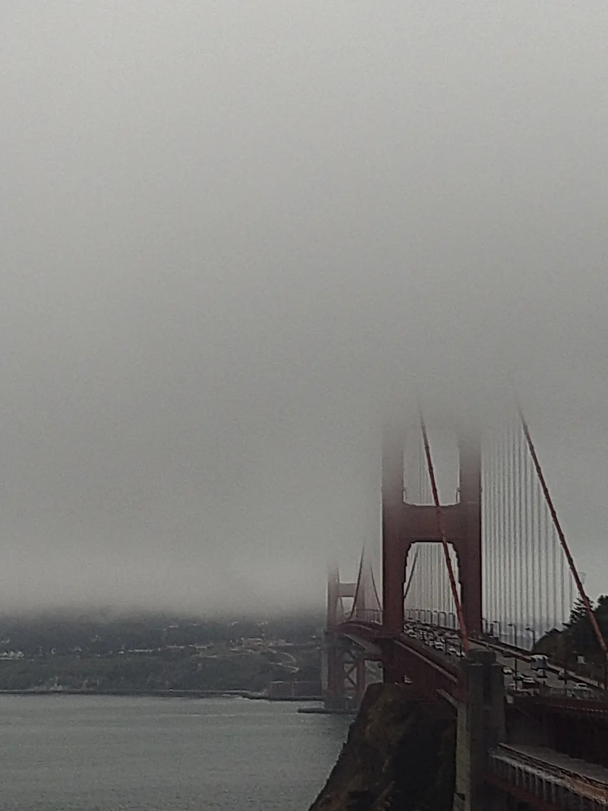 真夏の贅沢森林浴♡ミュアウッズ国定公園　の画像_1