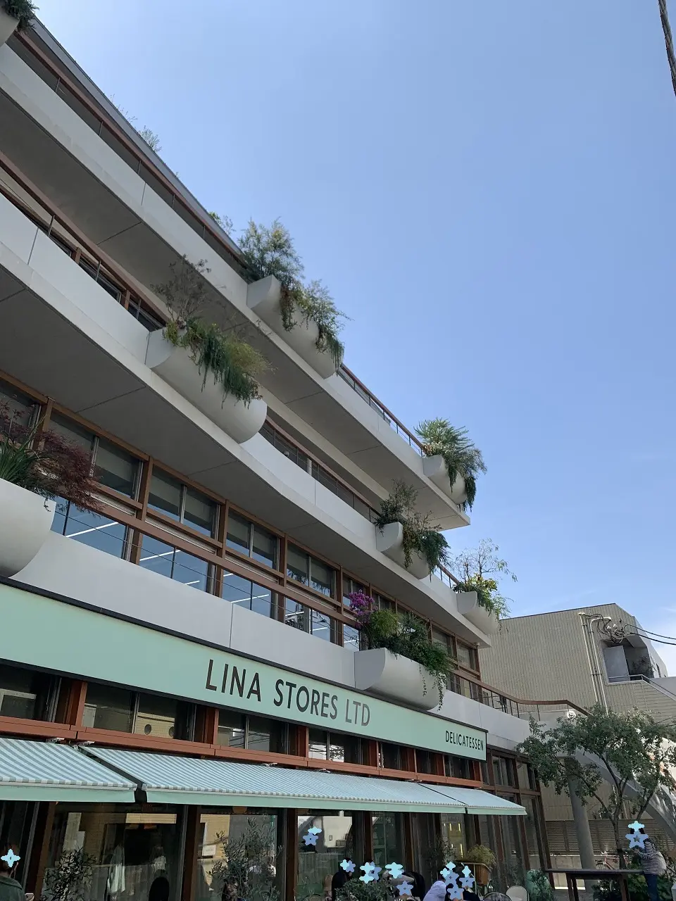 ２年ぶりの東京、桜ツアー　２日目①の画像_1