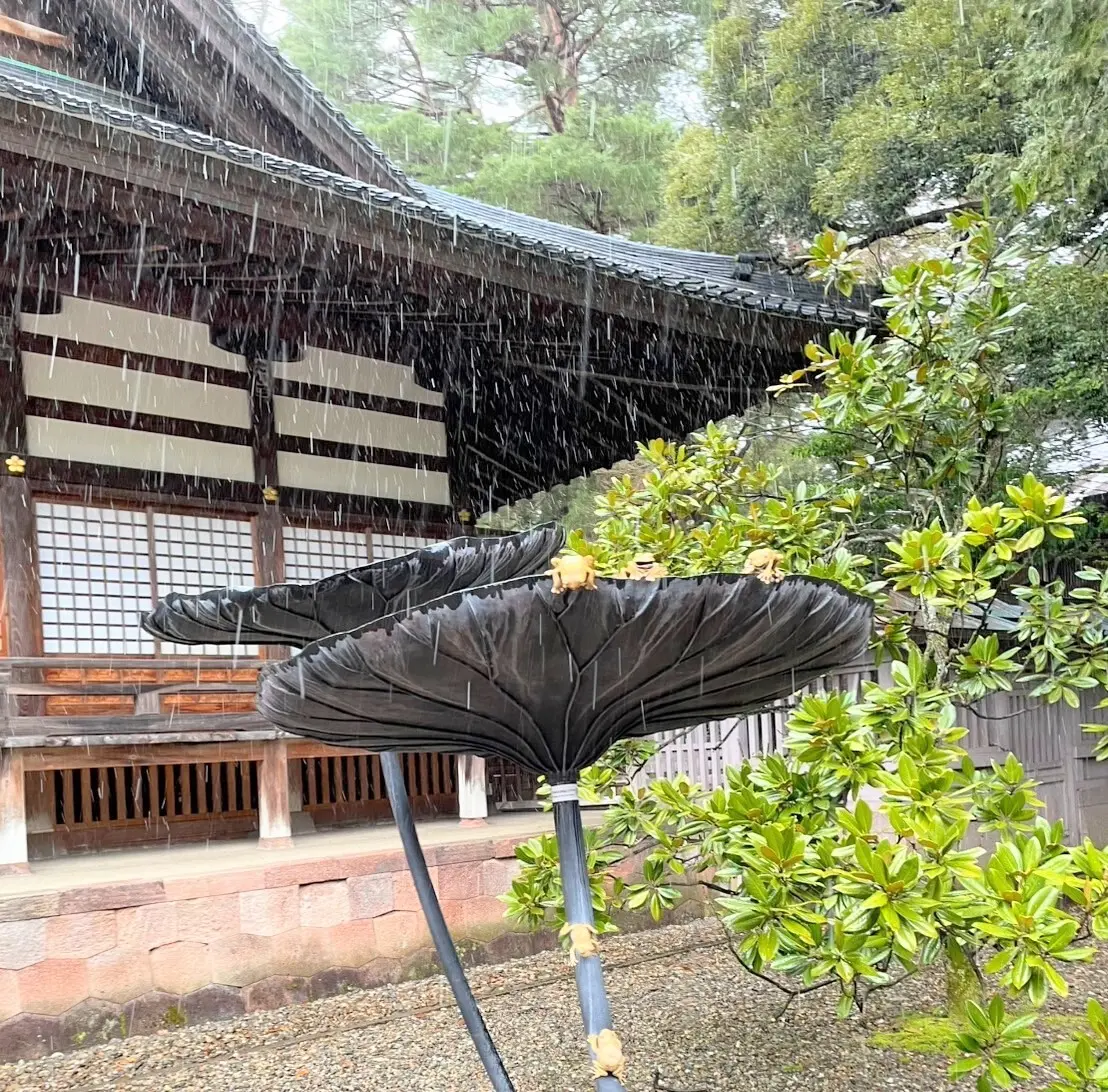 尾山神社　金のカエル
