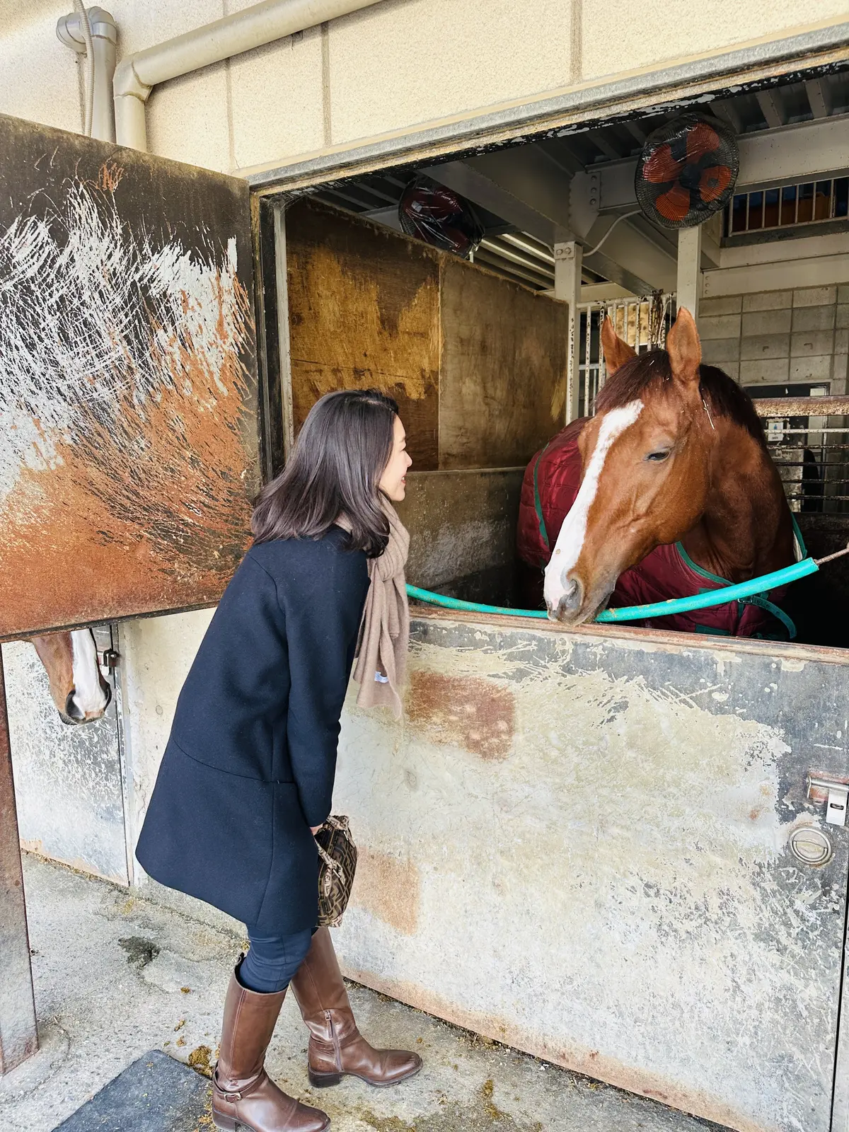 世界で一番美しいジョッキーブーツ”SARの画像_2