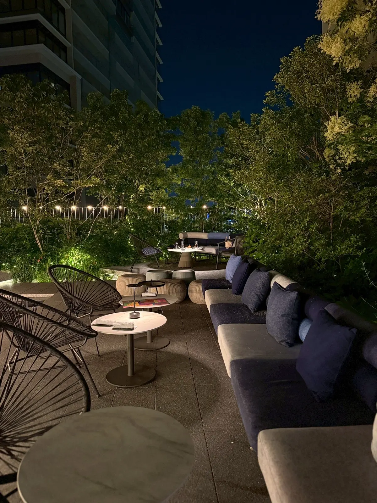 聖子ちゃんライブの余韻とともに。キャノピの画像_16