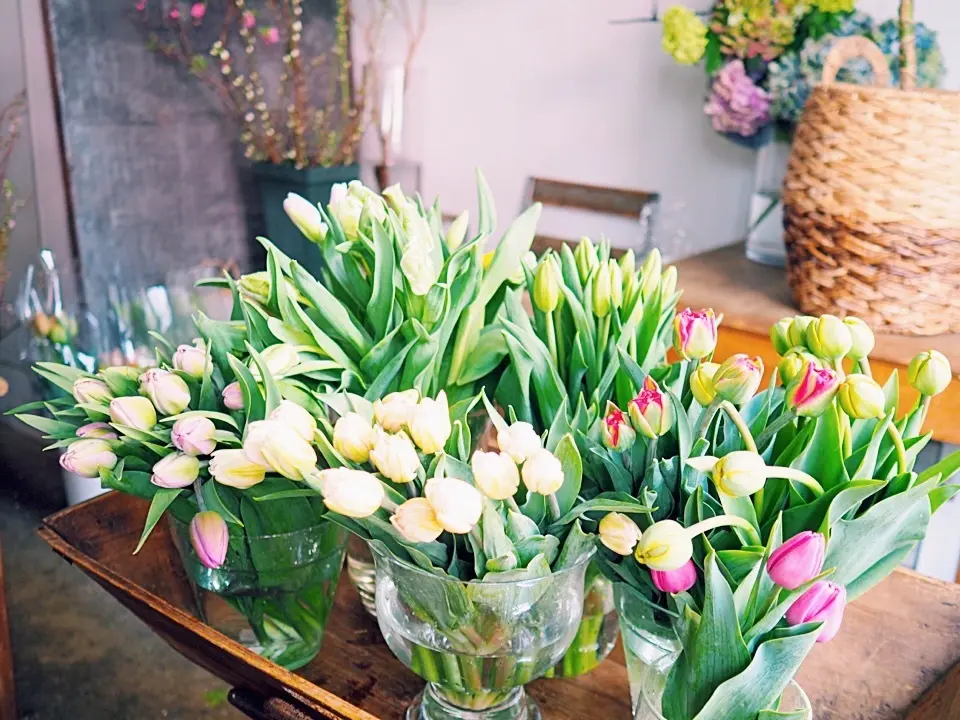 エクラ4月号｢チームJマダム白書」に掲載の画像_7