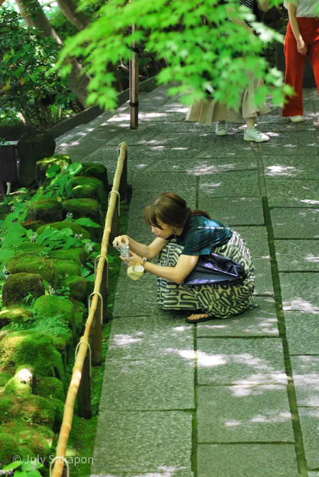 【さかぽんの冒険】海☆海☆海❤️@七里ヶの画像_20