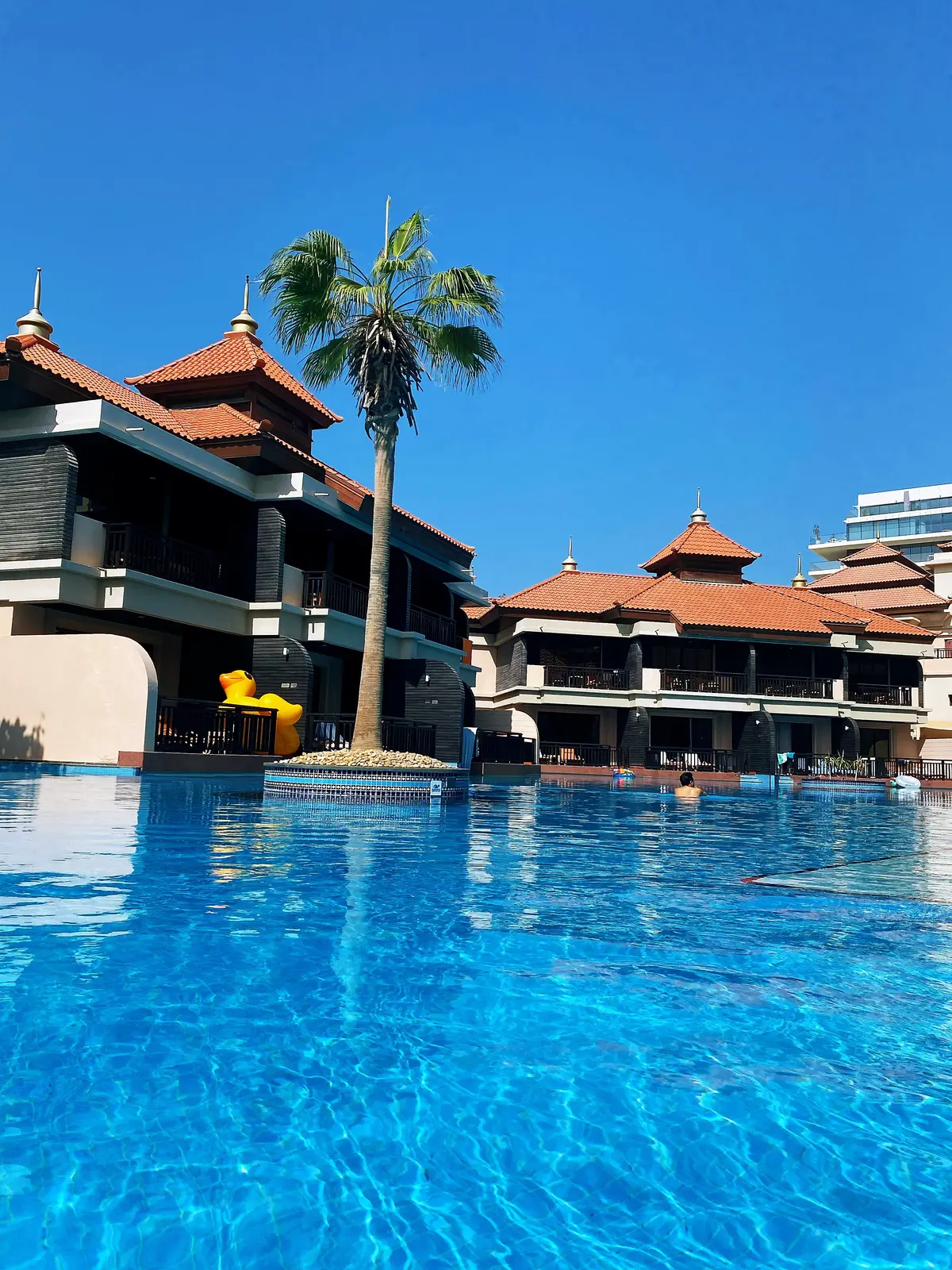 ドバイの楽園プライベートビーチ＆プール の画像_25