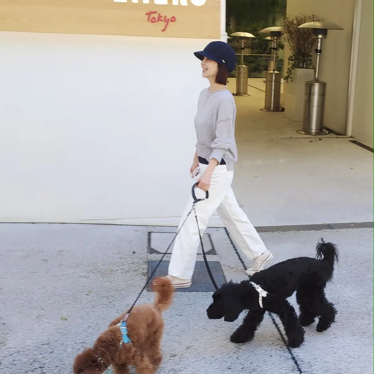 Something Whiteの画像_3