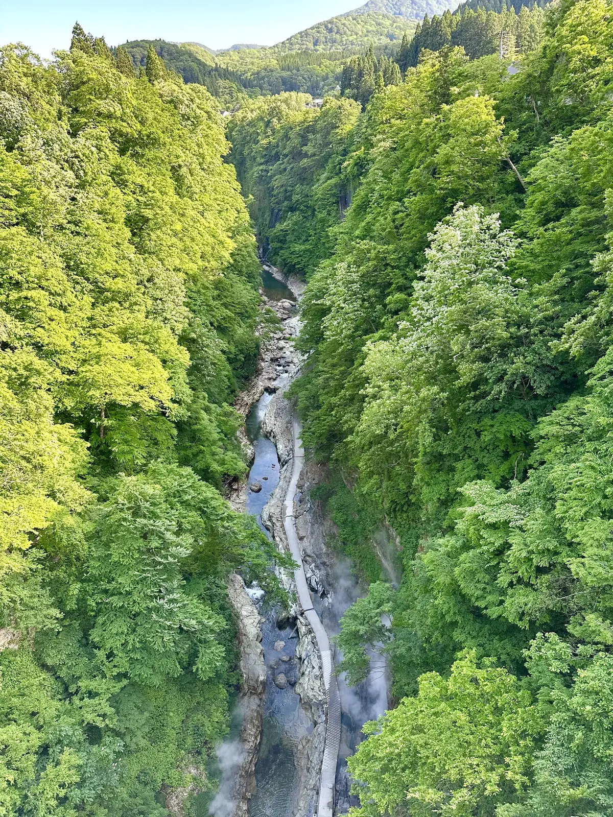 【秋田】雄大な自然と温泉を楽しむ旅ー秋田の画像_29