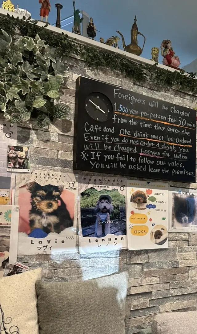 11月7日は、息子チッドくんの誕生日！の画像_4