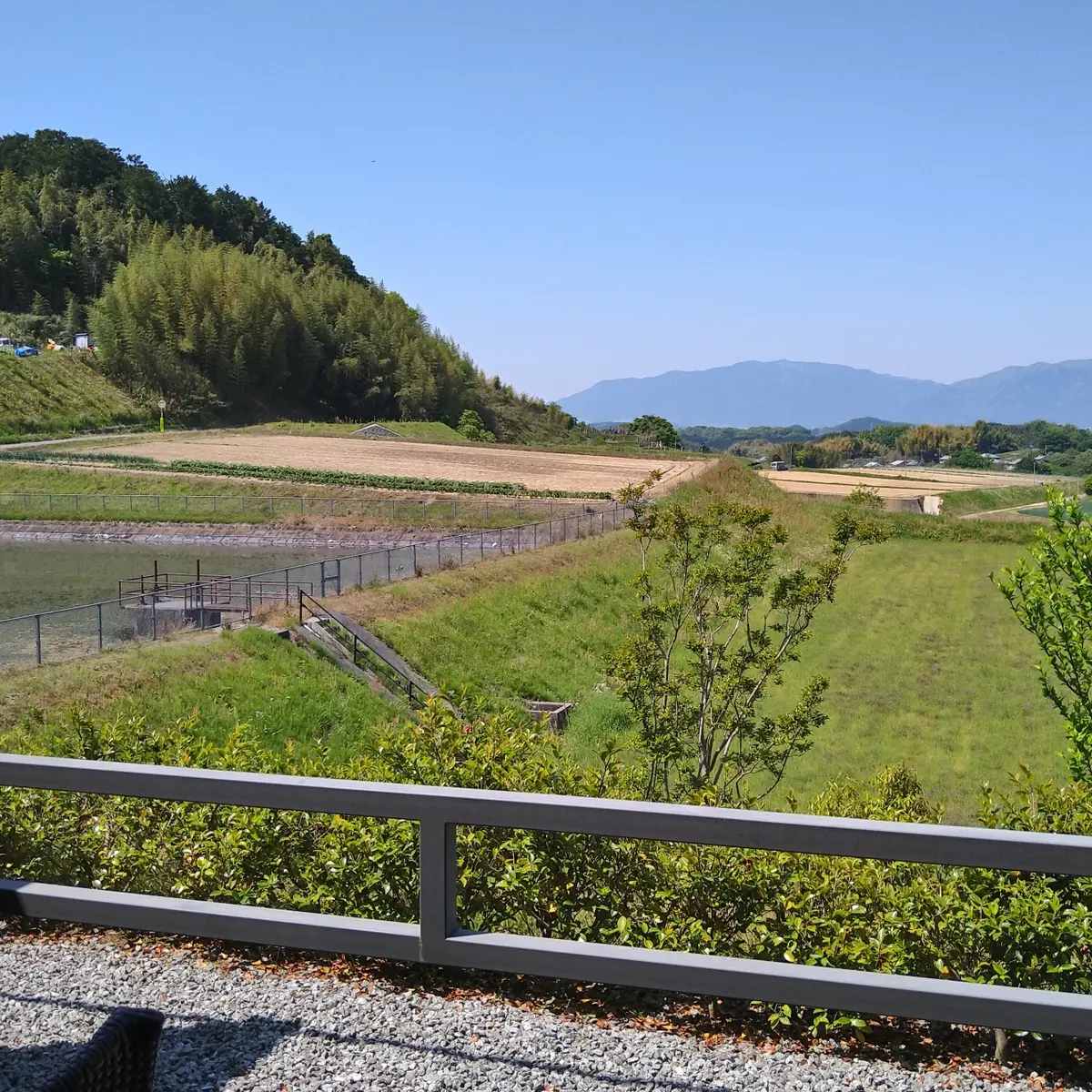 オーベルジュ・ド・ぷれざんす　桜井