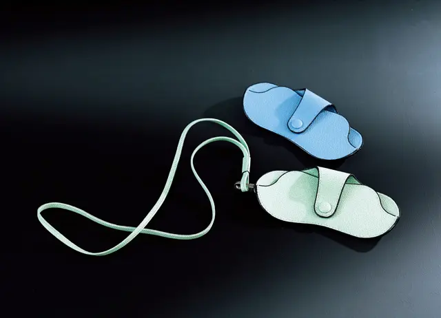 ヴァレクストラのメガネケース