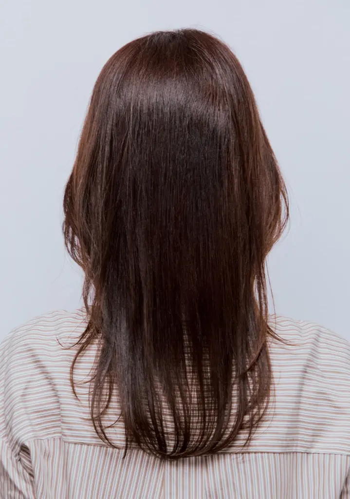 Webエクラ 　後から見たセミロングヘアスタイル