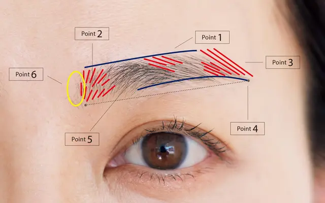 50歳からの眉は、ここを整える！