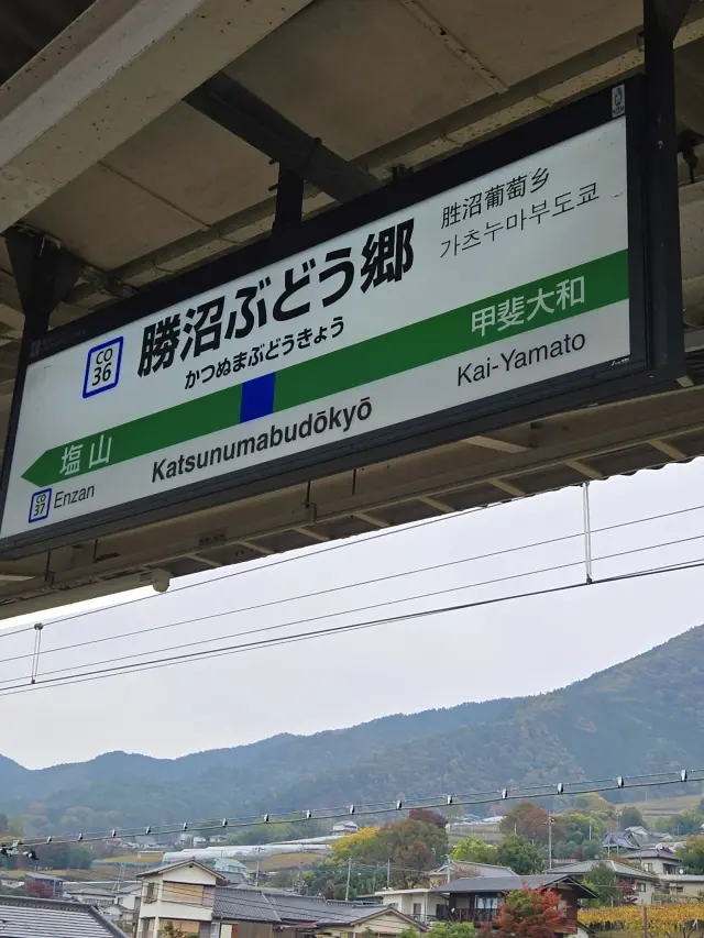 ワインツーリズム やまなし・秋 2025の画像_4